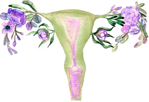 Endometriosis & Pelvic Pain Education Day 16th March